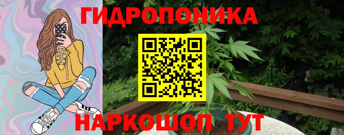 Конопля гибрид  Марихуана Bruce Banner  Вход с VPN  Похвистнево 